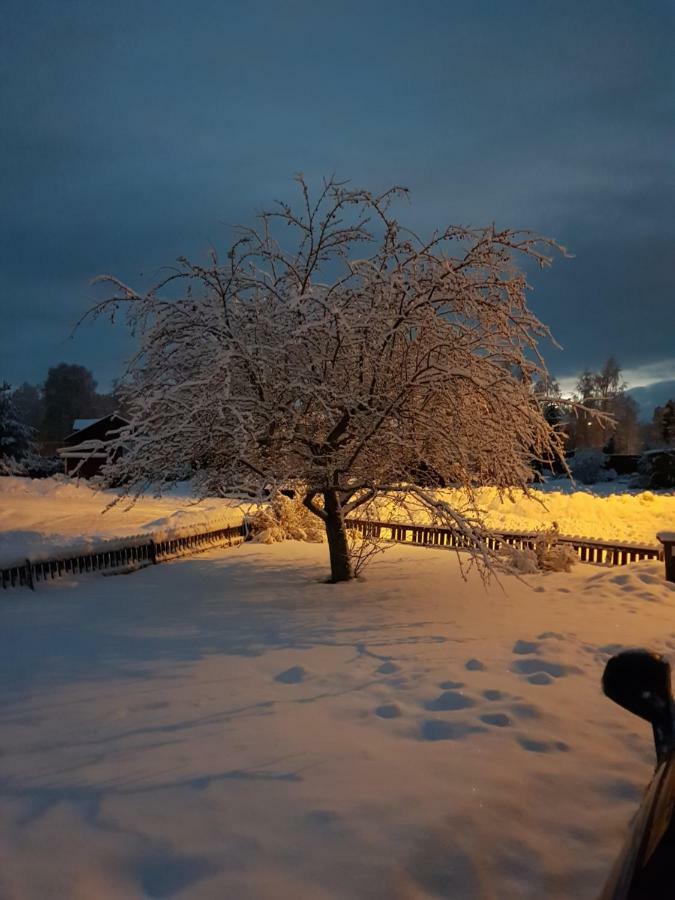 B&B Mora Dış mekan fotoğraf